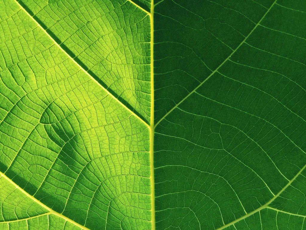 Profilbild von Coco25 - 25 Jahre, Sportlich